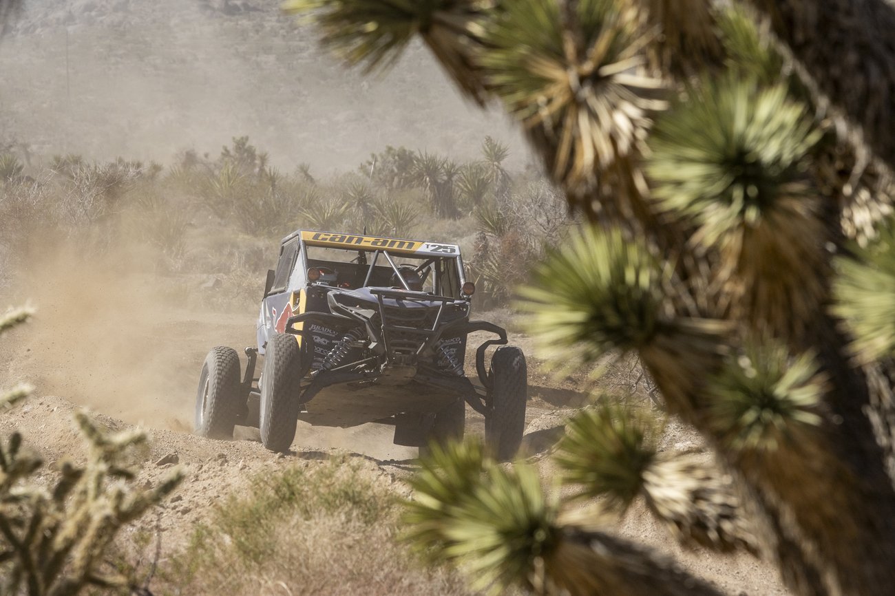 2026-mint400-limited-ea-176 copy