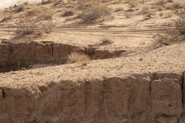 Christian Sourapas - 2024 Parker 400 19.jpg