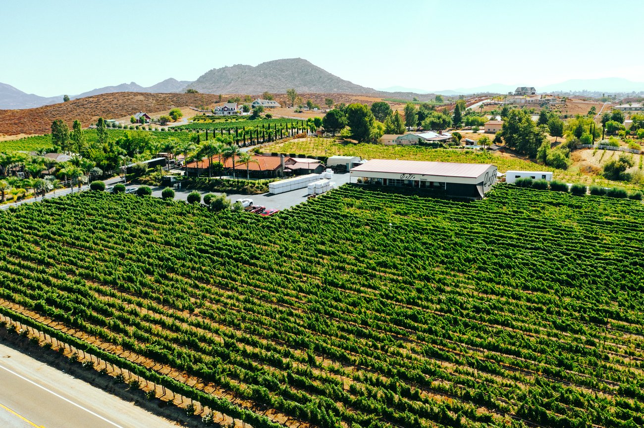 2024 Mint 400 - Doffo Winery (3)