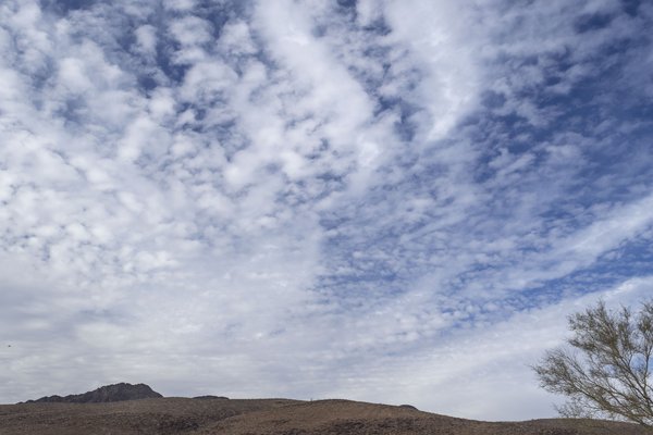 Michael Mamelli Jr - 2024 Parker 400 2.jpg