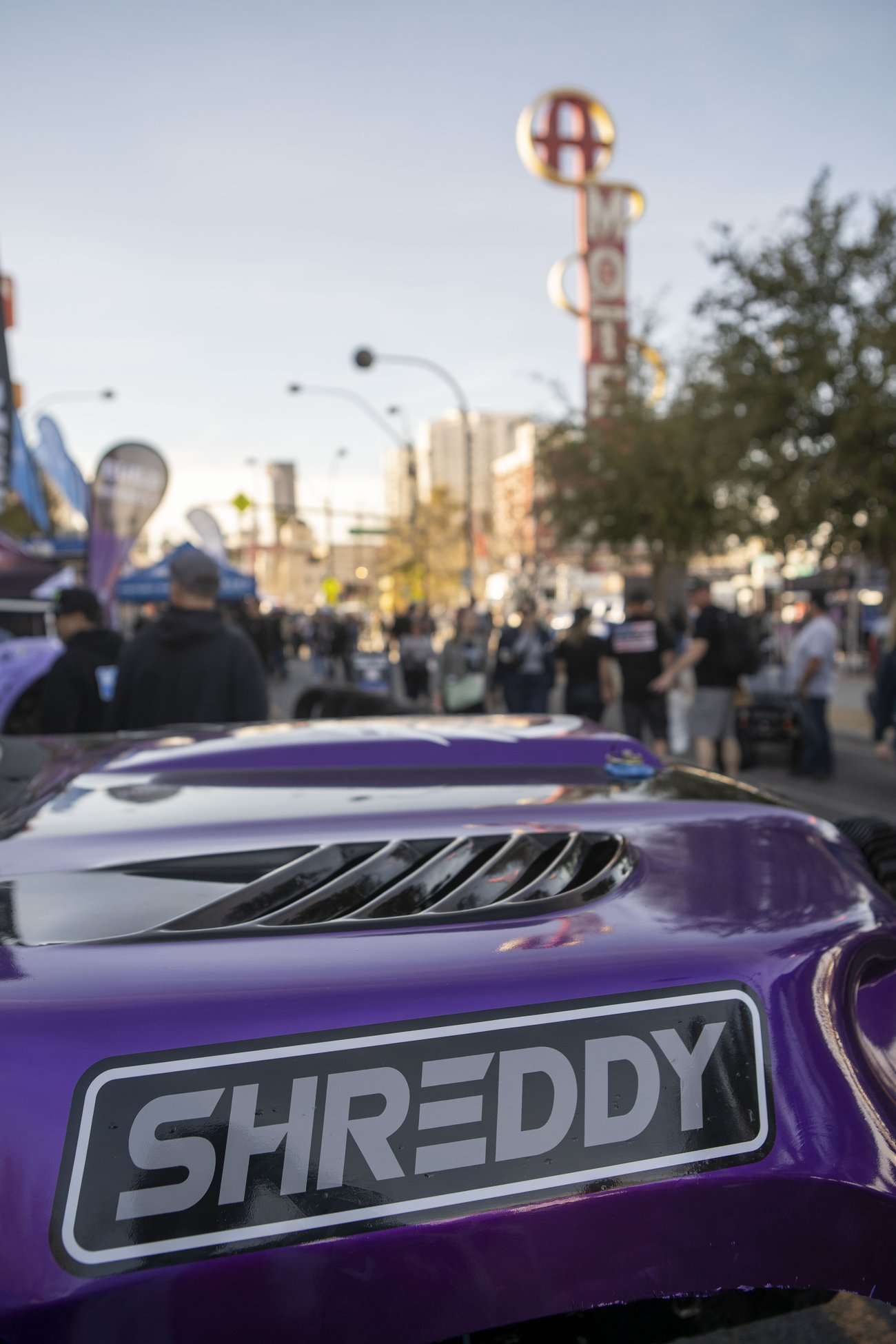 2024 Mint 400 - Shreddy (3)