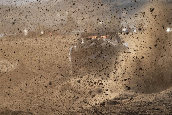 Nic Whetstone - 2024 Mint 400 19.jpg