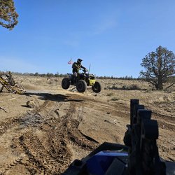 Jared Mikoleit (Driver Headshot)