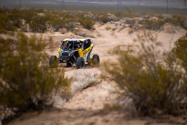 sara-price-mint-400-2023